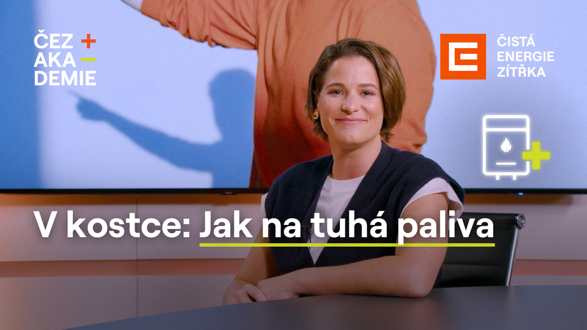 V kostce: Jak na tuhá paliva